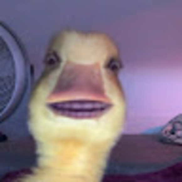 Meet your Posher, Madelin - Picture 1 of 1